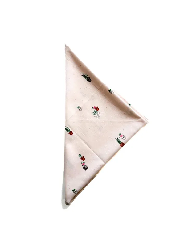 Brakeman Bandana | Cactus Pot - Rose sold by 18 Waits