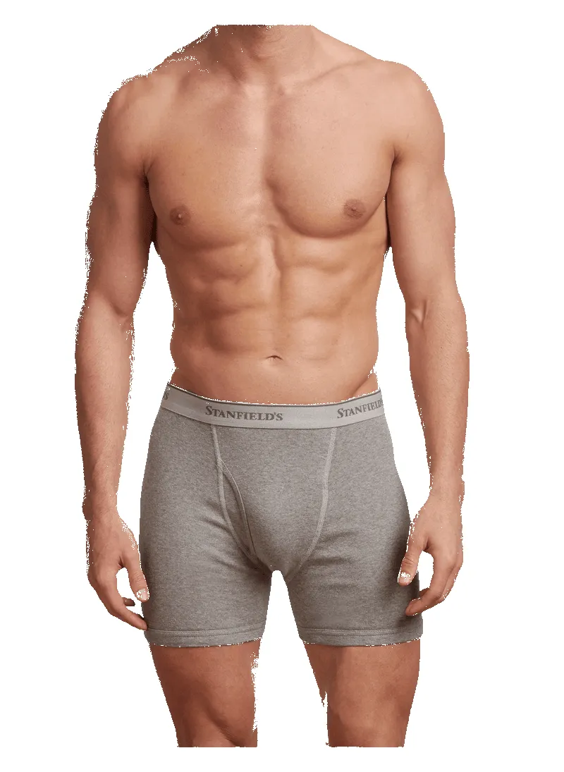 Men's Premium 100% Cotton Boxer Brief - 2 Pack by Stanfield's sold by Great Sox product image thumbnail 3