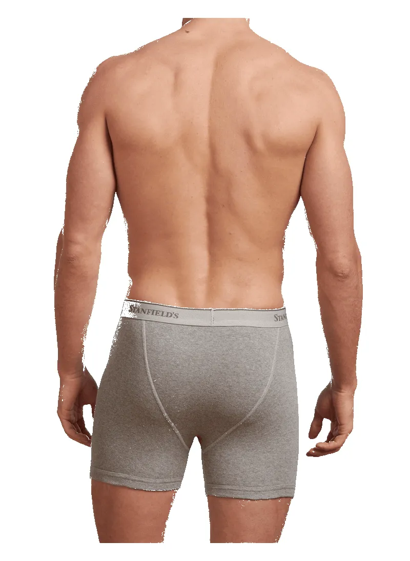 Men's Premium 100% Cotton Boxer Brief - 2 Pack by Stanfield's sold by Great Sox product image thumbnail 4