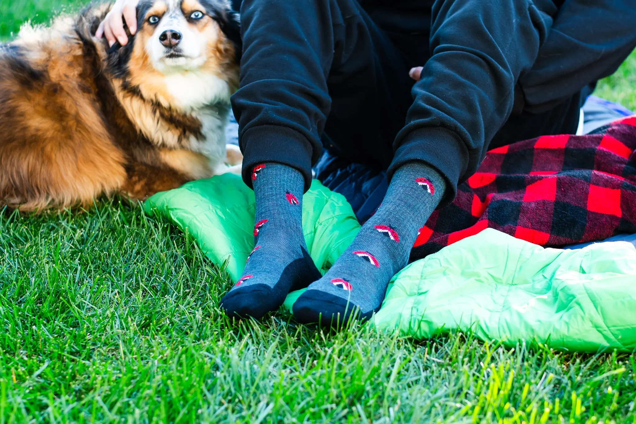"Ladybug" 70% Merino Wool Socks by Friday Sox Co - Medium sold by Great Sox product image thumbnail 2