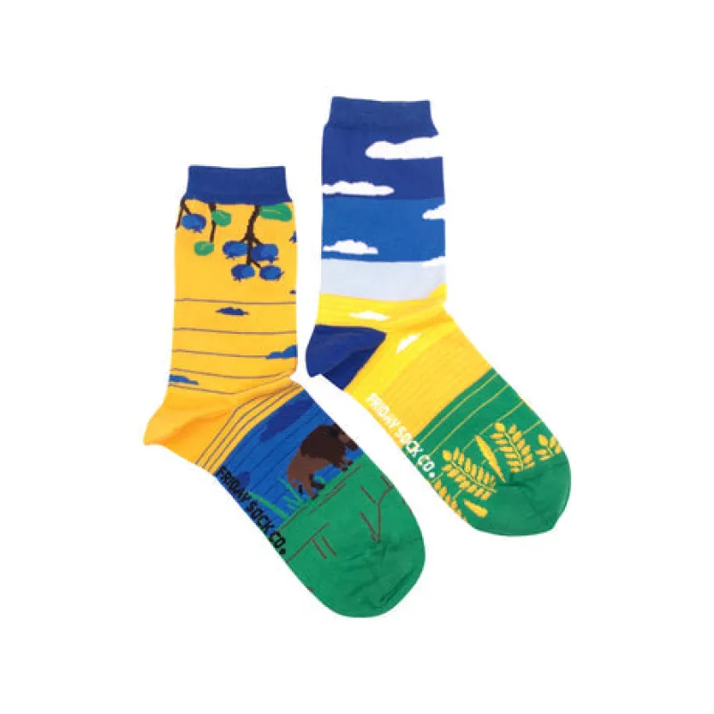 "Prairie" Landscape 85% Cotton Socks by Friday Sox Co sold by Great Sox