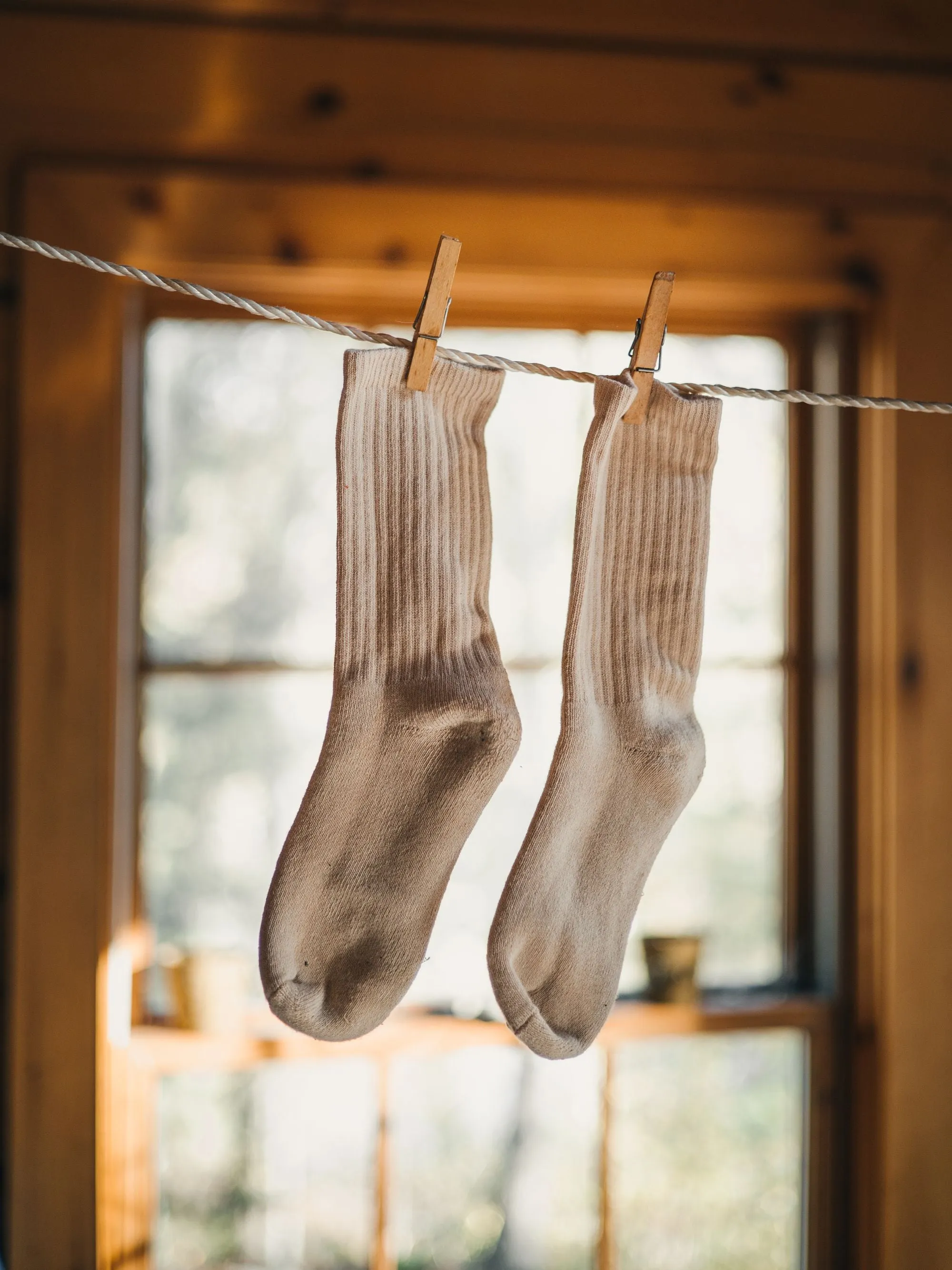 J.B. Field's Classic Organic Cotton Crew Socks sold by Great Sox product image thumbnail 5