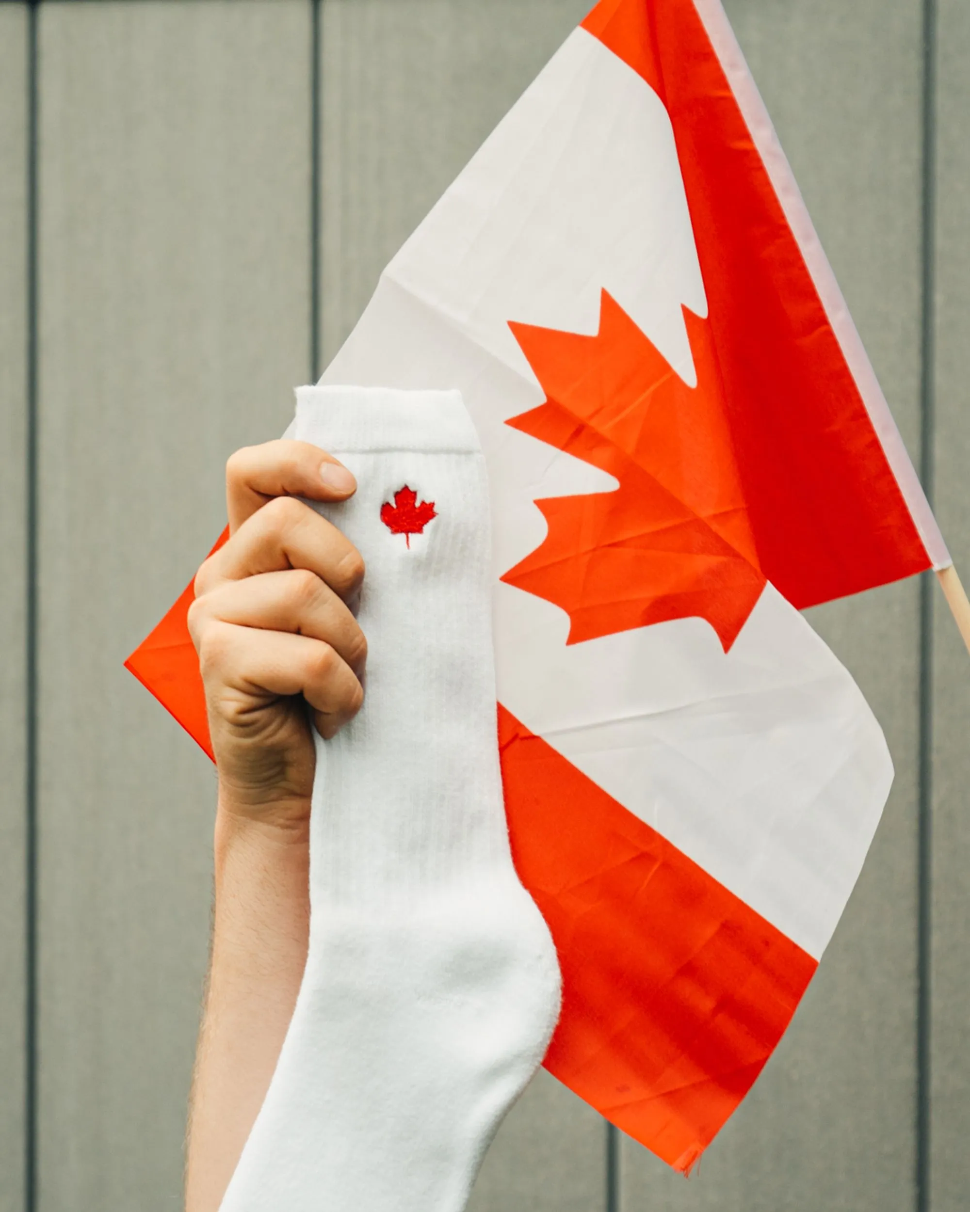 J.B. Field's "Canadian Maple Leaf" Organic Cotton Crew Sock sold by Great Sox product image thumbnail 3