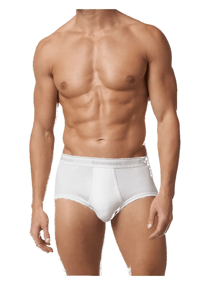 Men's Premium 100% Cotton Brief - 3 Pack by Stanfield's sold by Great Sox product image thumbnail 3