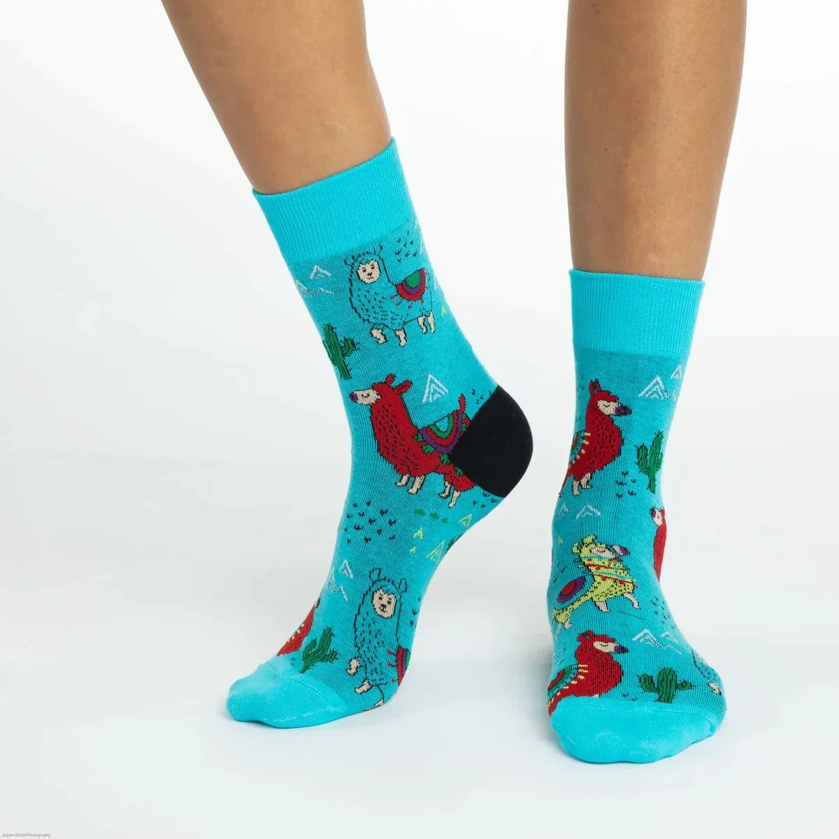 "Fun Llama" Cotton Socks by Good Luck Sock sold by Great Sox product image thumbnail 2