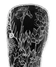 "Positive Thoughts"Knee High Compression Socks by Outway sold by Great Sox product image thumbnail 3
