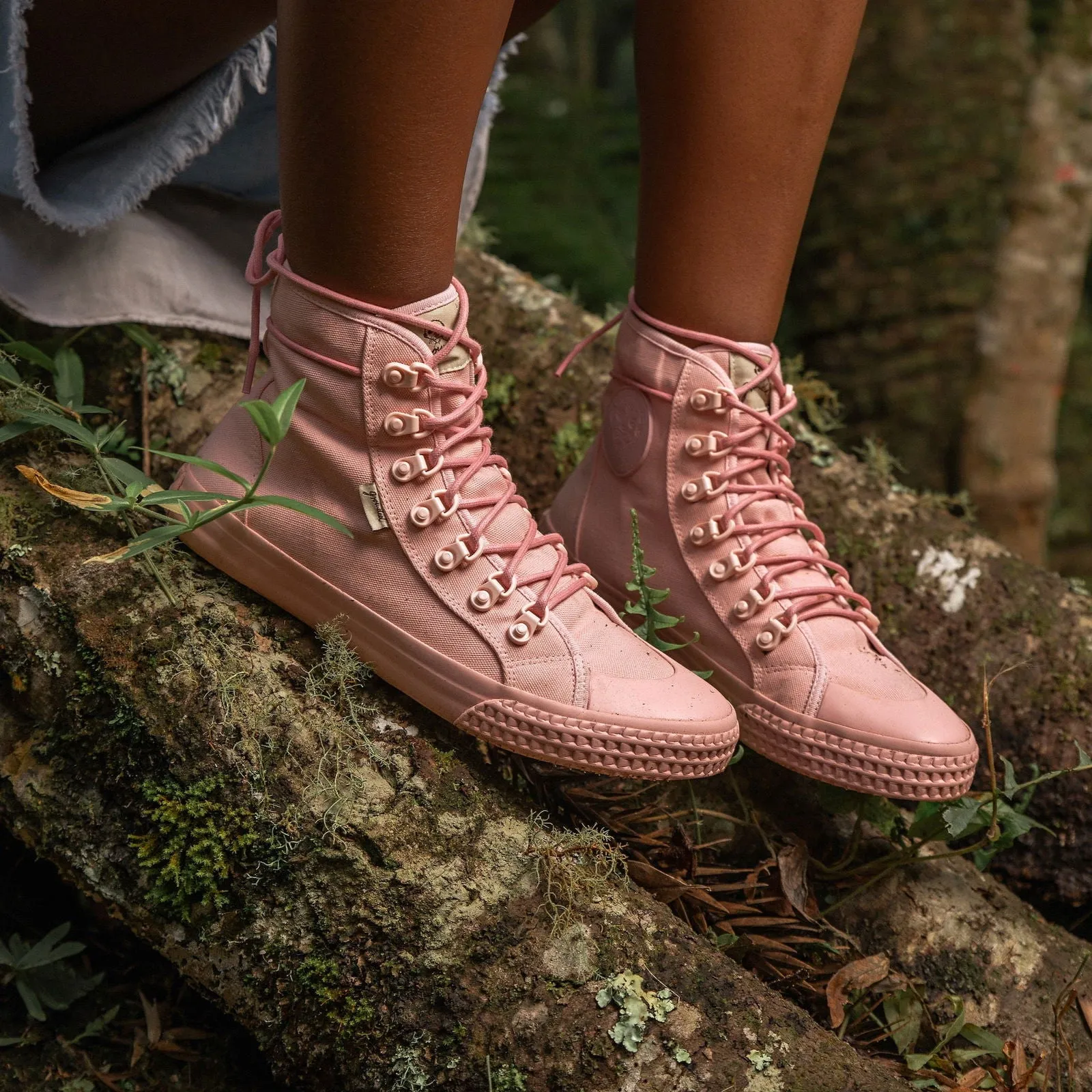 Begonia sold by Grounded People product image thumbnail 3