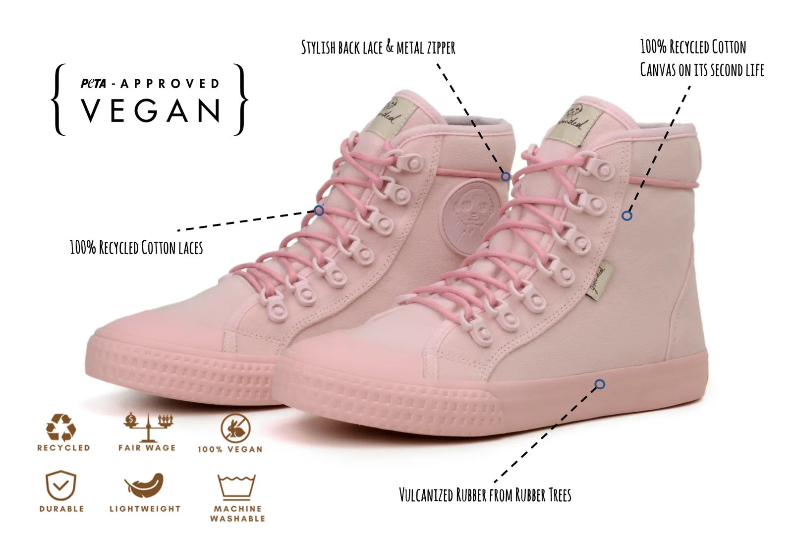 Begonia sold by Grounded People product image thumbnail 4