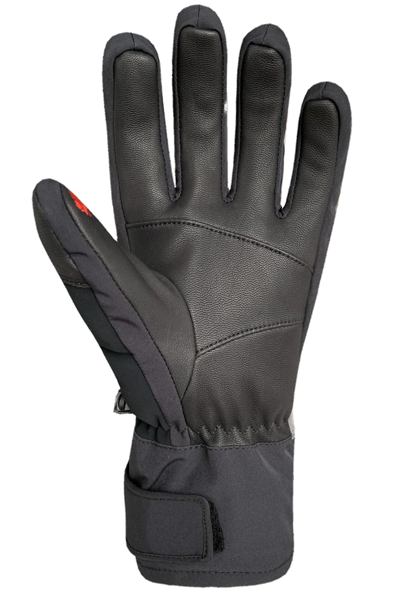 Avalanche Gloves - Adult sold by Auclair product image thumbnail 2