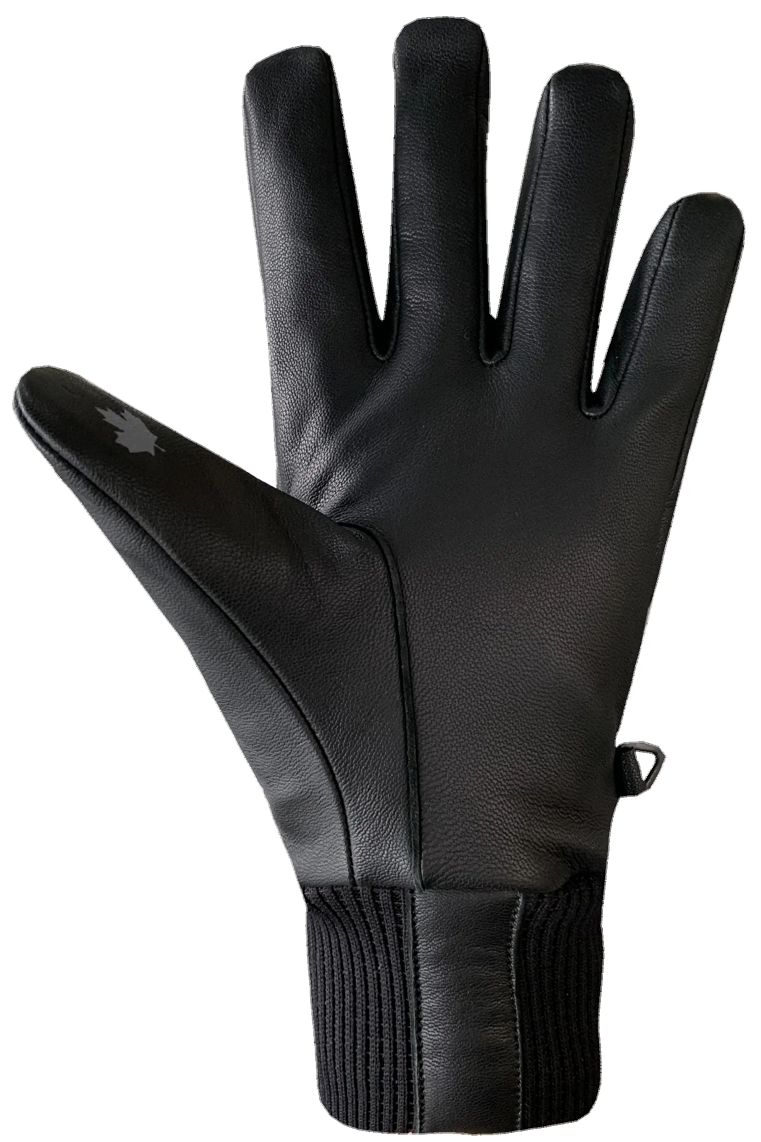 Snow Ops Gloves - Adult sold by Auclair product image thumbnail 4