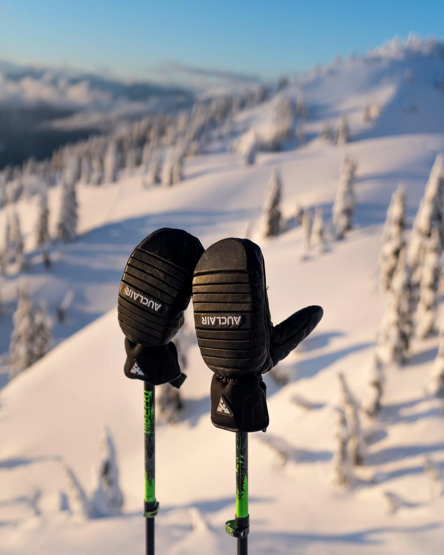 Outseam Mitts - Adult sold by Auclair product image thumbnail 5