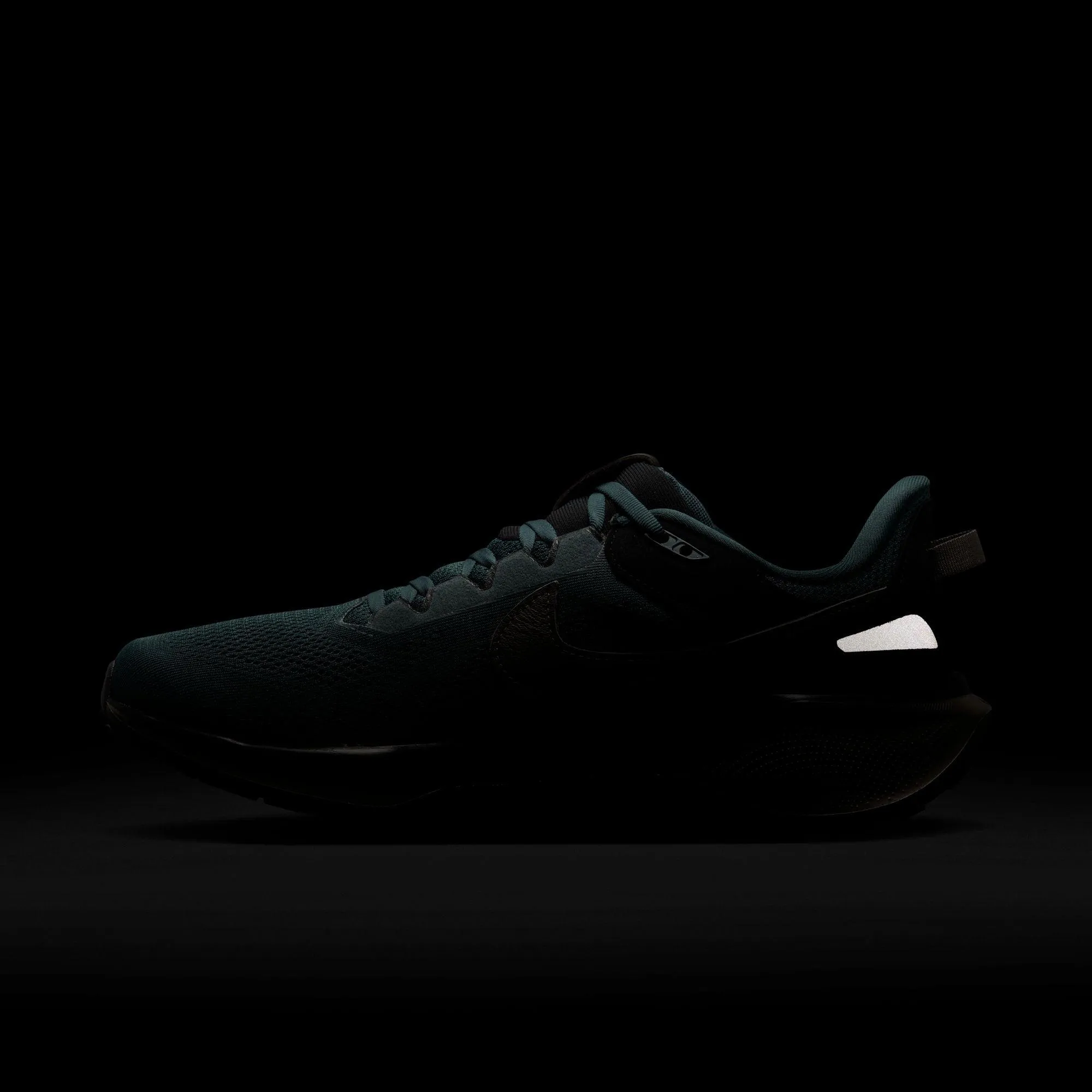 Air Zoom Pegasus 41 SP sold by Stomping Ground product image thumbnail 5