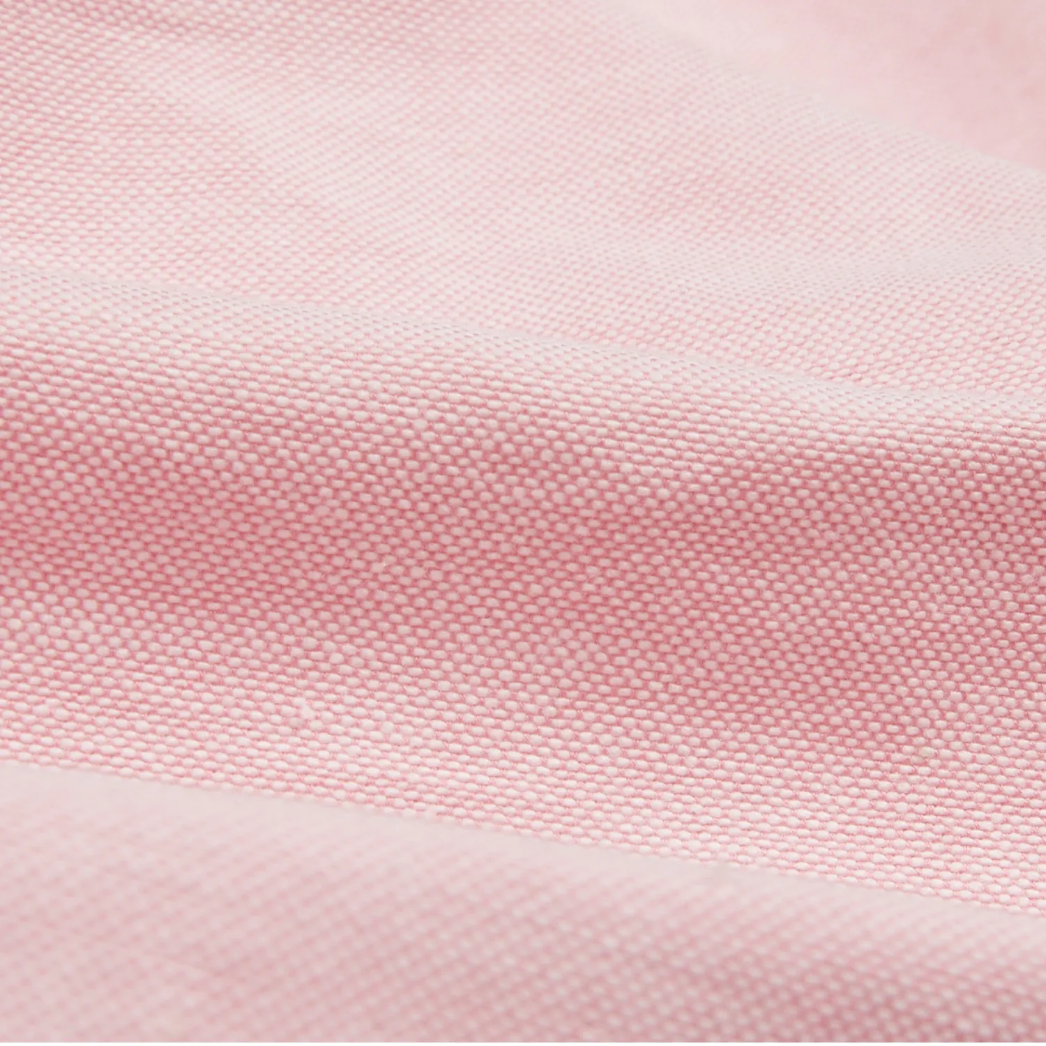 Button Down Oxford - Pink sold by Stomping Ground product image thumbnail 2