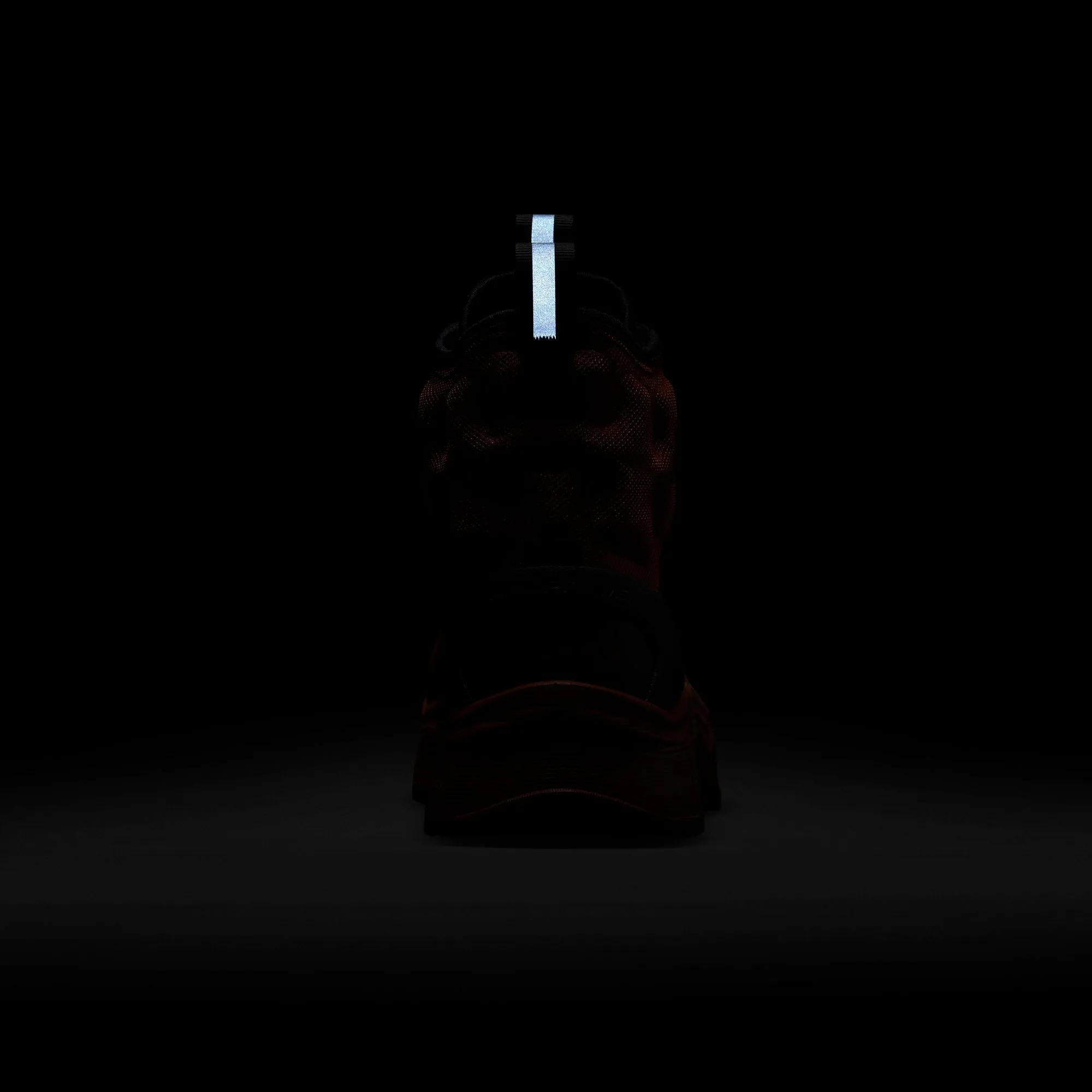 Nike ACG Air Zoom Gaiadome GORE-TEX - Cinnamon/Black sold by Stomping Ground product image thumbnail 5