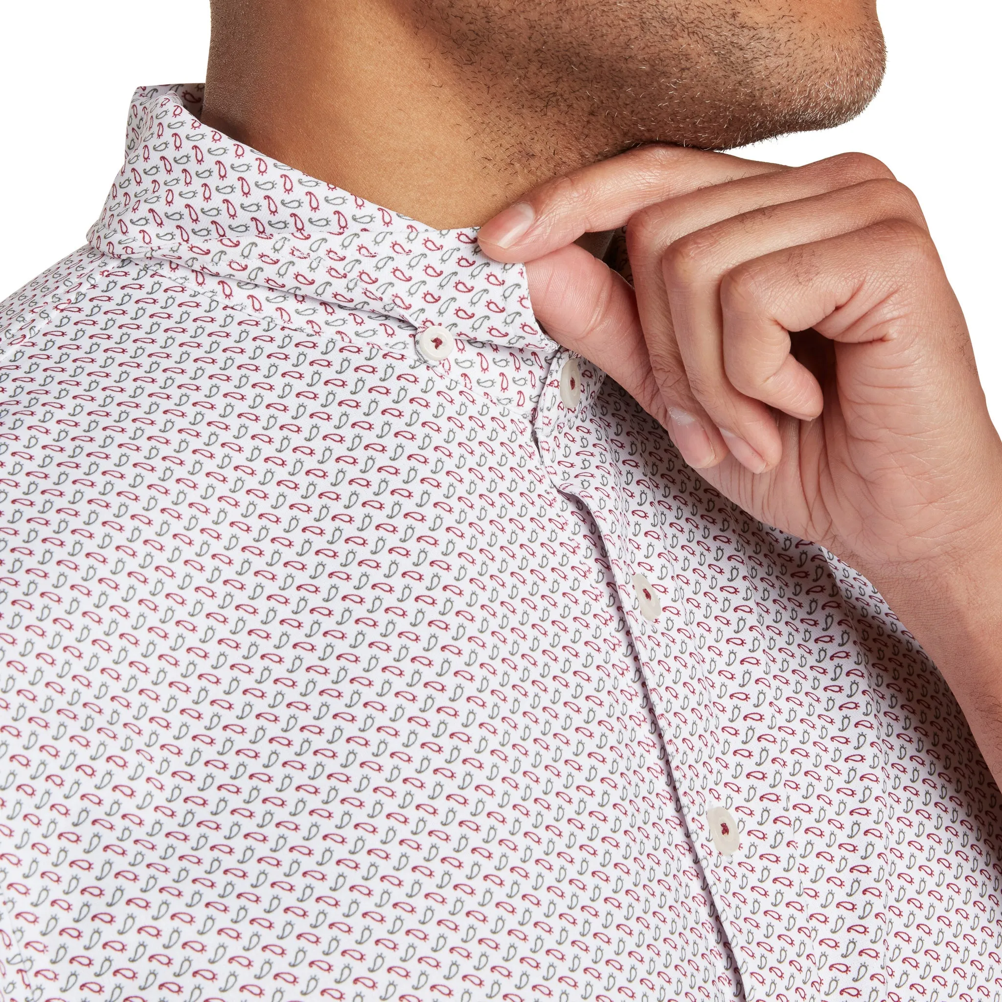 Quail Polo sold by Ashworth Golf product image thumbnail 4