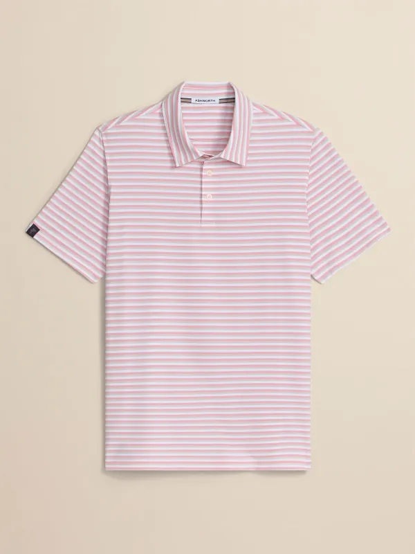 Ivy Stripe Polo made by Ashworth Golf