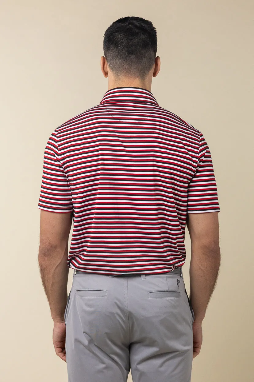 Ivy Stripe Polo sold by Ashworth Golf product image thumbnail 5