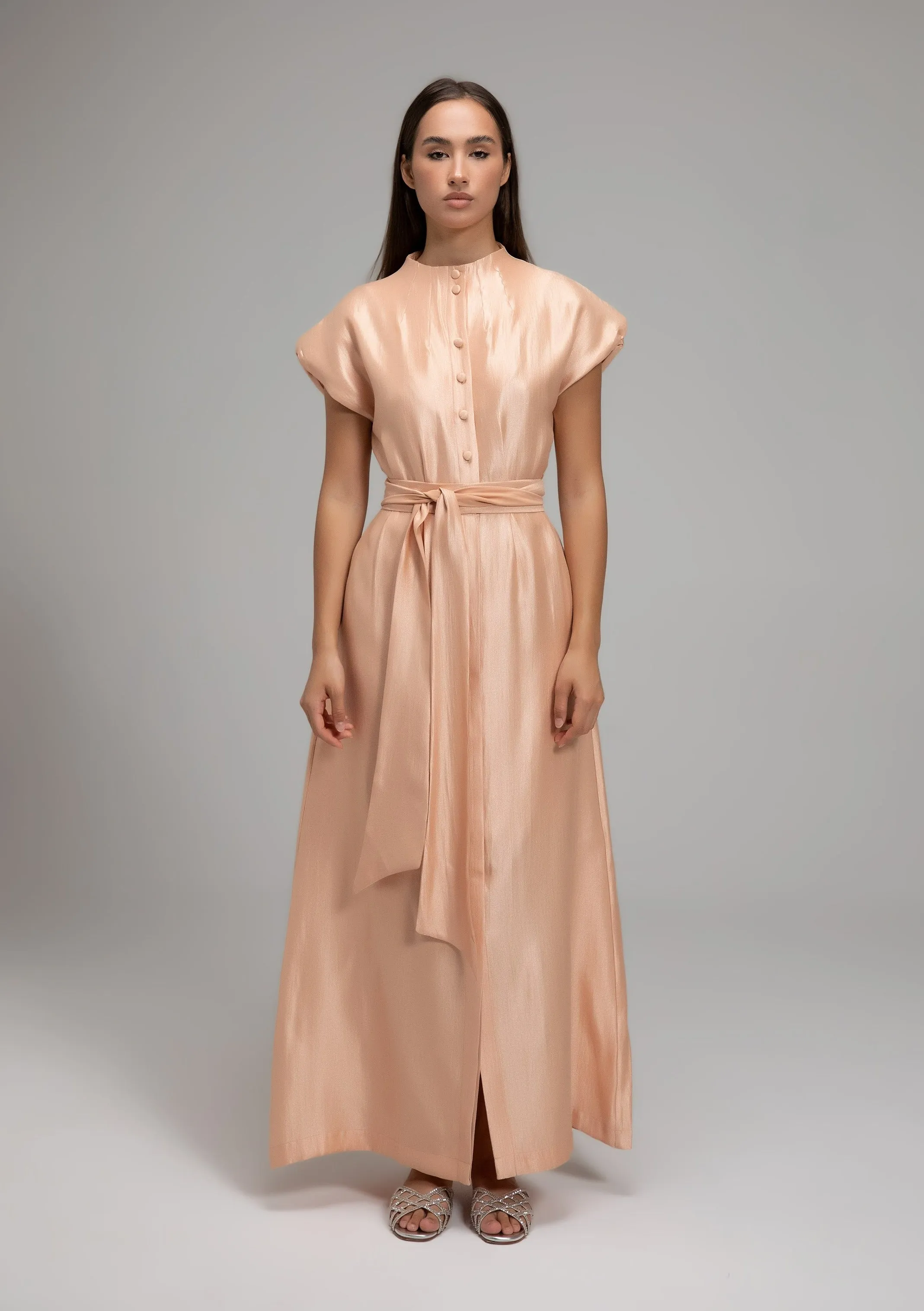 Sari Dress sold by Baruni product image thumbnail 3