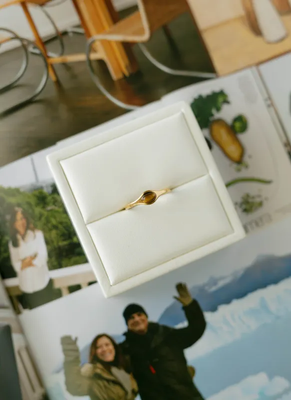 Sleek Tiger’s Eye Band Ring made by Bibi & Kim