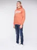 Scripthen Hoodie Brick Red sold by Henleys