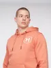 Metafone Hoodie Brick Red sold by Henleys