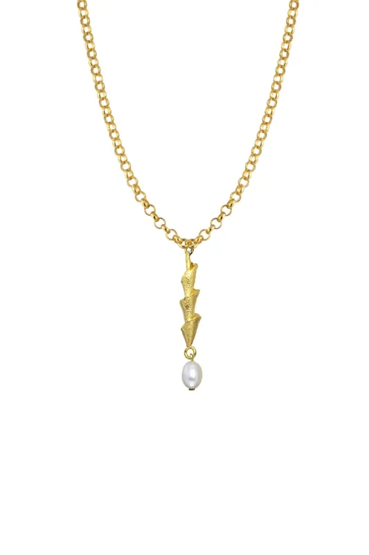 ARIEL sold by Peracas