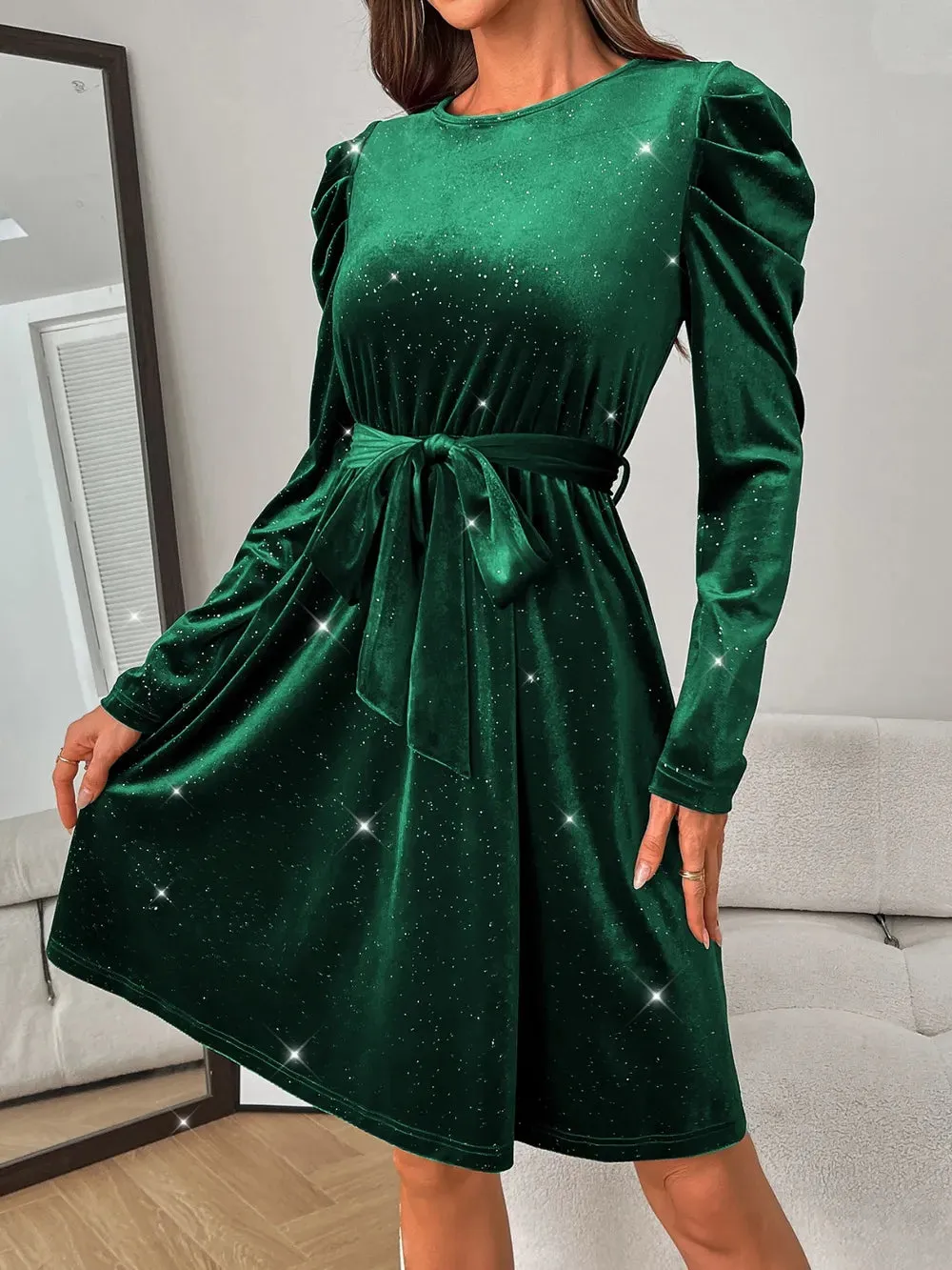 Glitter Round Neck Puff Sleeve Dress sold by Gigi Laurent product image thumbnail 2