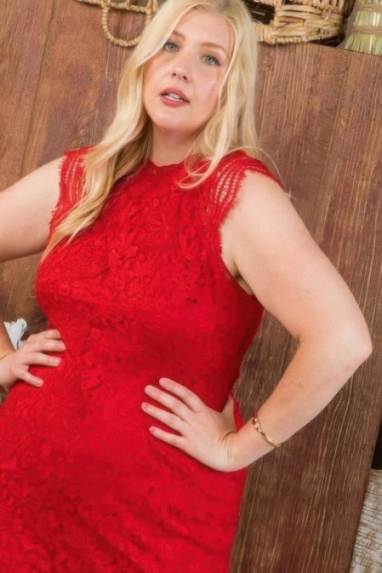 Lace Crochet Mini Raglan Dress With Zipper Back sold by Gigi Laurent product image thumbnail 4