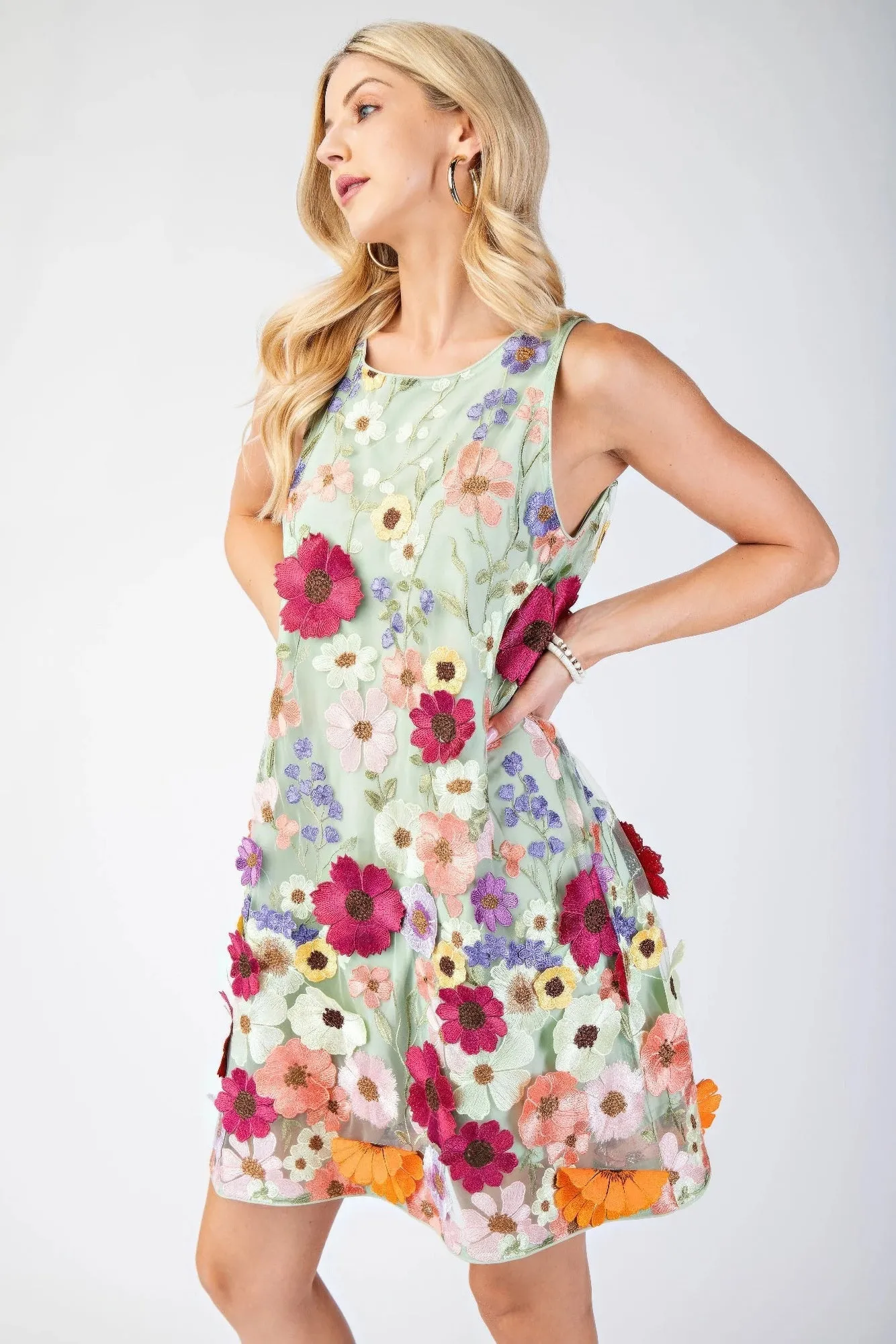3d Floral Embroidered Sleeveless Mini Dress sold by Gigi Laurent product image thumbnail 3
