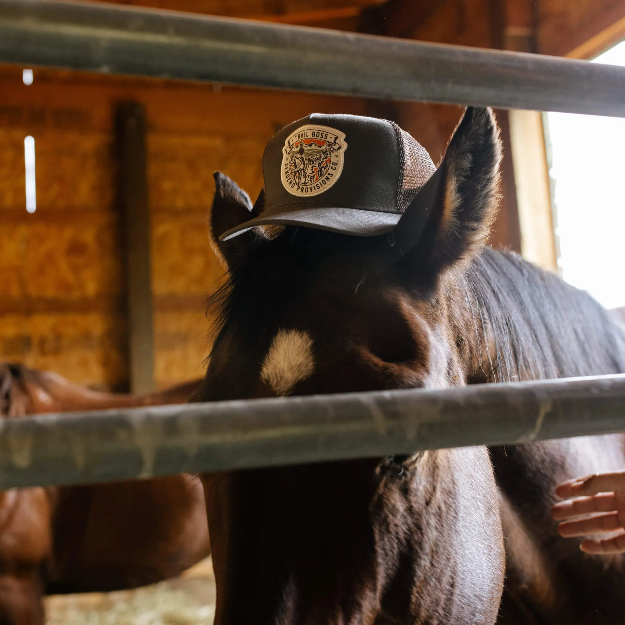 Trail Boss Hat sold by Sendero Provisions CO product image thumbnail 3