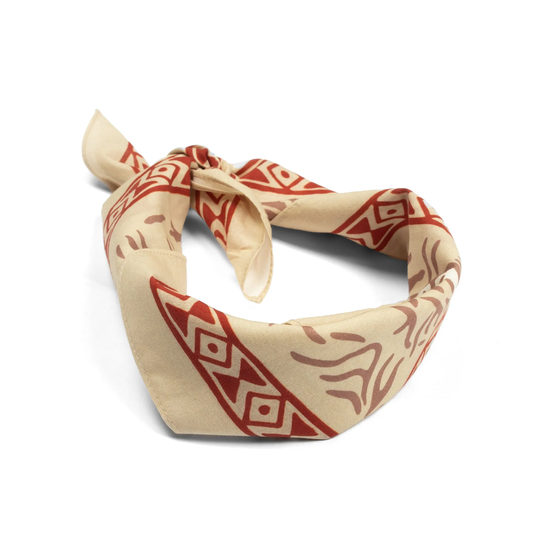 Desert Flush Bandana sold by Sendero Provisions CO product image thumbnail 2