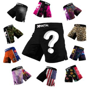 2 Mystery 2.0 Hybrid BJJ/MMA Shorts sold by XMartial
