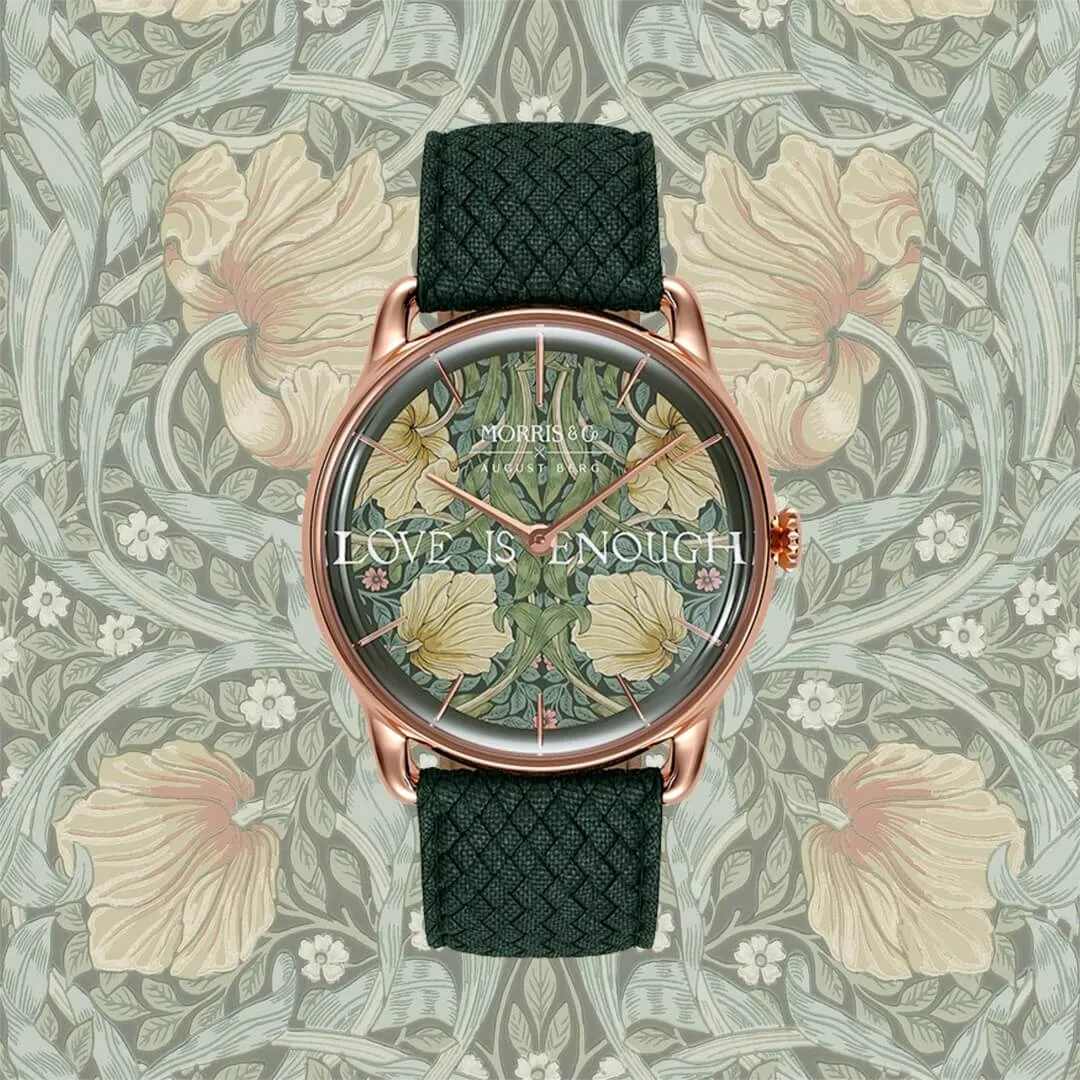 Pimpernel Fennel sold by August Berg product image thumbnail 2