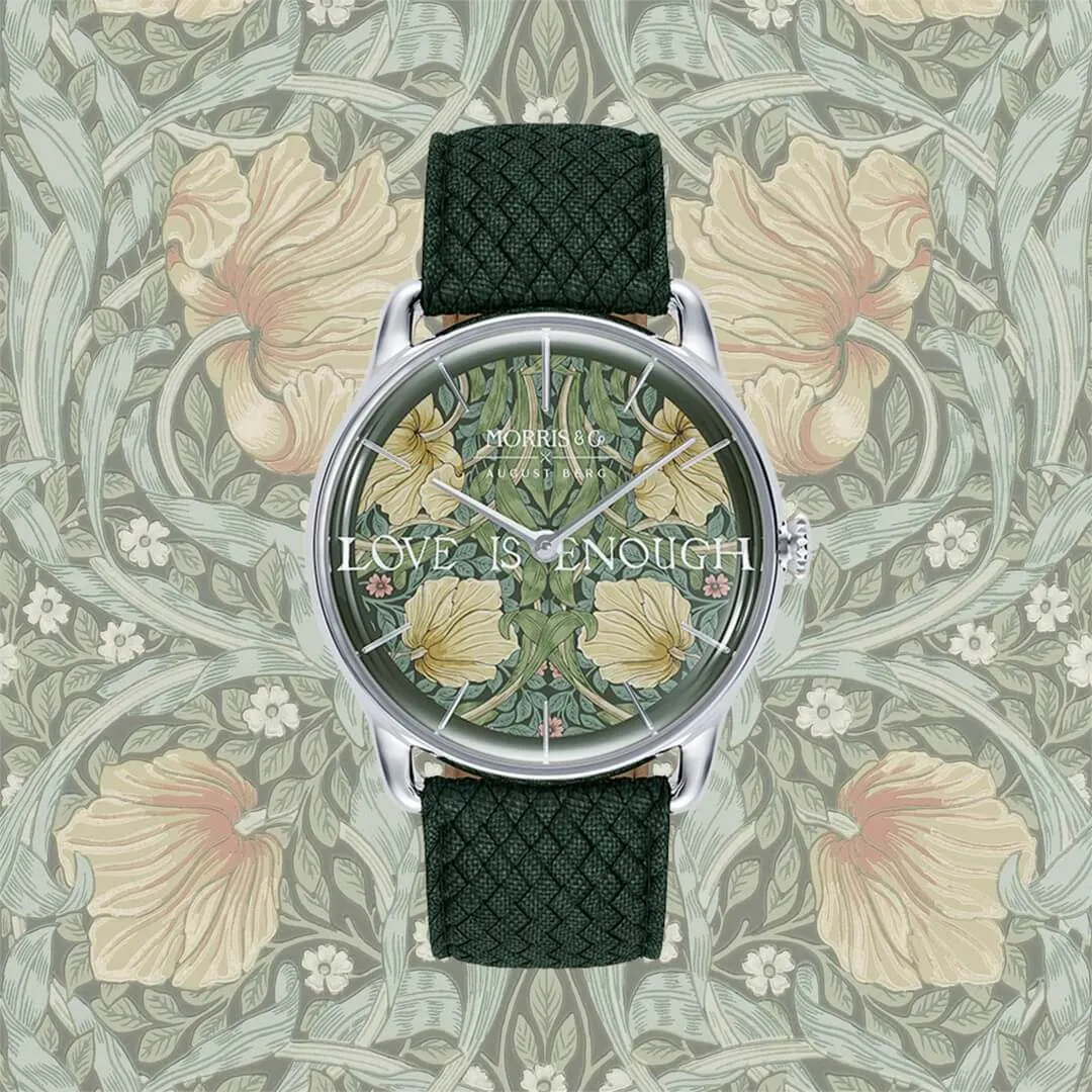 Pimpernel Fennel sold by August Berg product image thumbnail 2