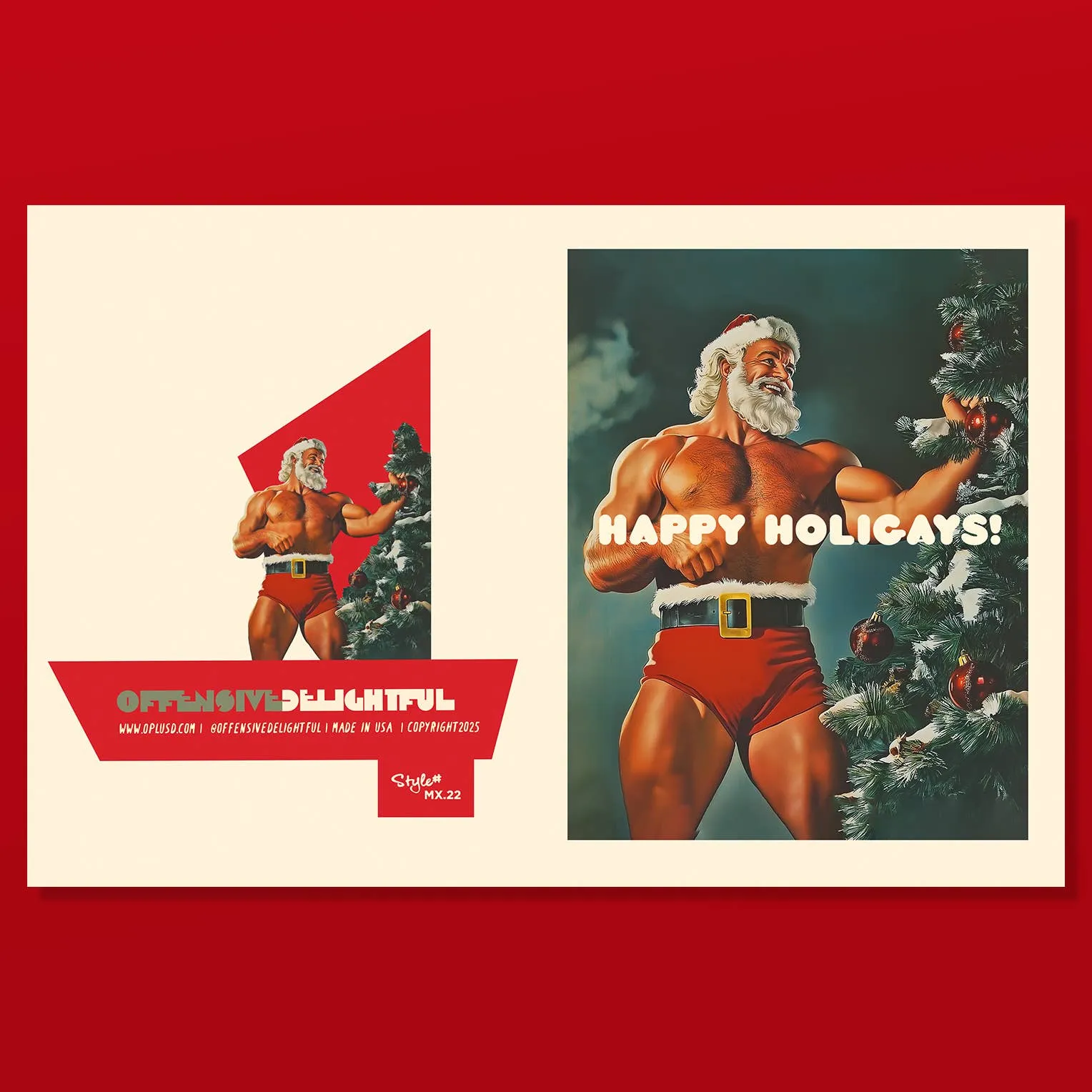 HOLIGAYS! Christmas Card sold by Brightside Boutique product image thumbnail 2
