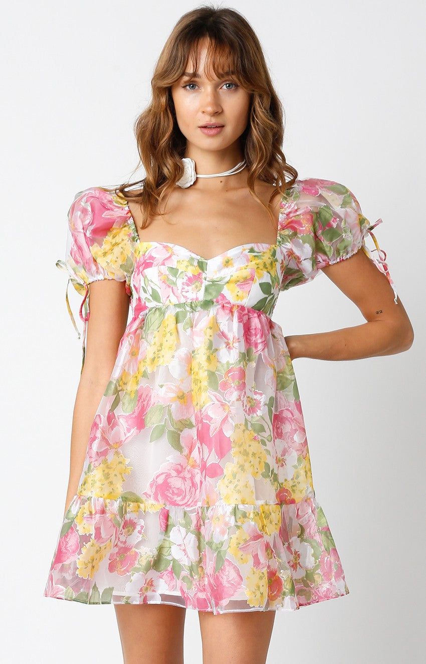 Daisy Babydoll Dress sold by Brightside Boutique product image thumbnail 3