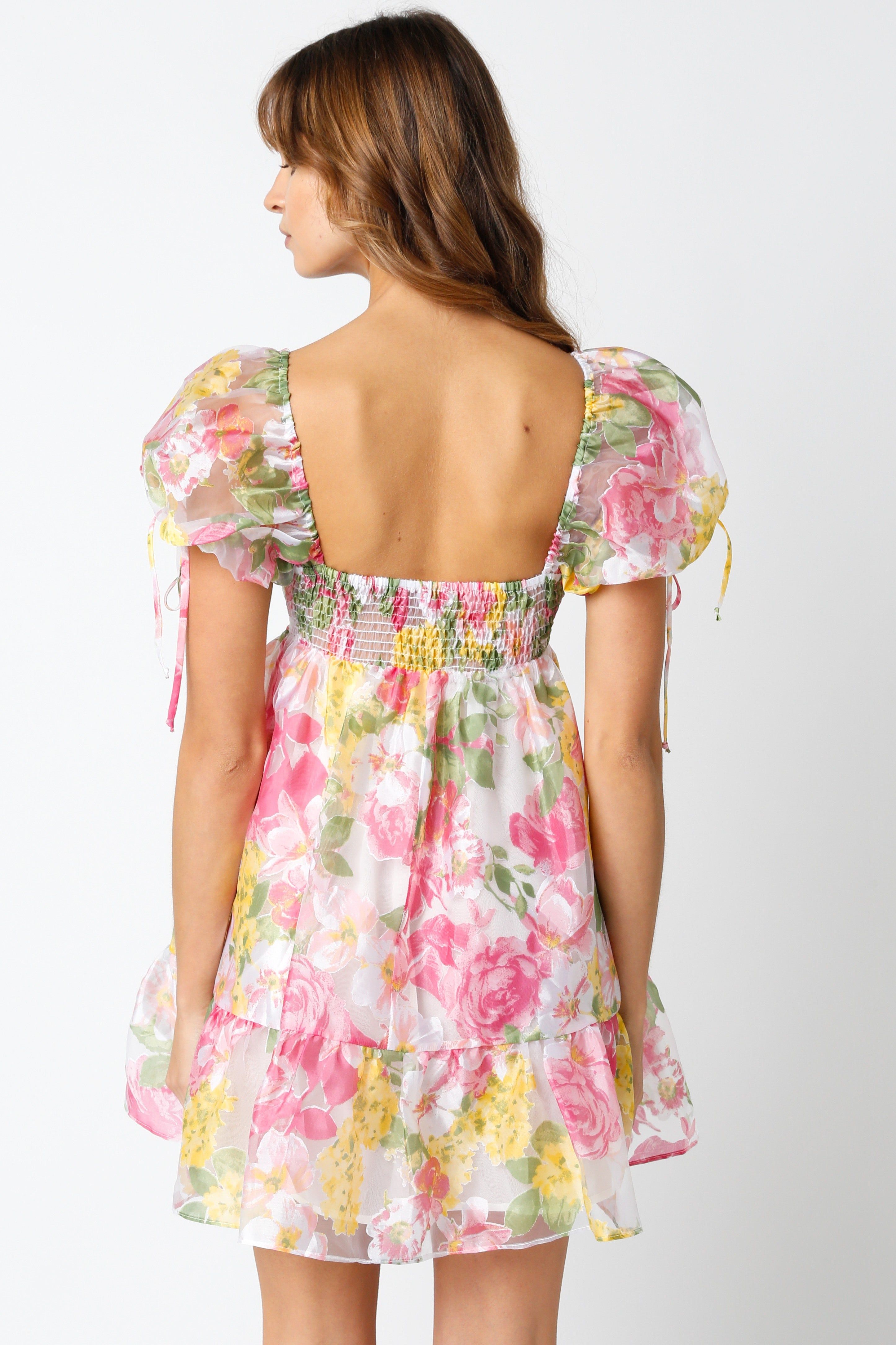 Daisy Babydoll Dress sold by Brightside Boutique product image thumbnail 4