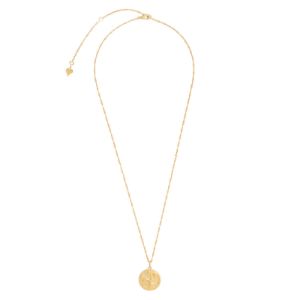 Asteria Goddess Gold Necklace sold by Wanderlust and Co