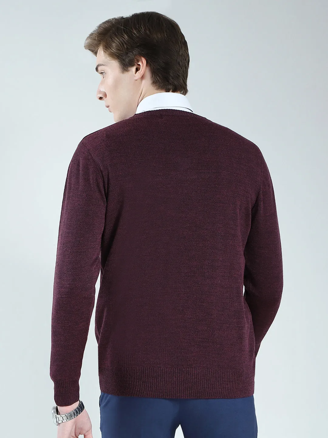 Men Purple Solid V Neck Full Sleeve Pullover sold by Monte Carlo product image thumbnail 5