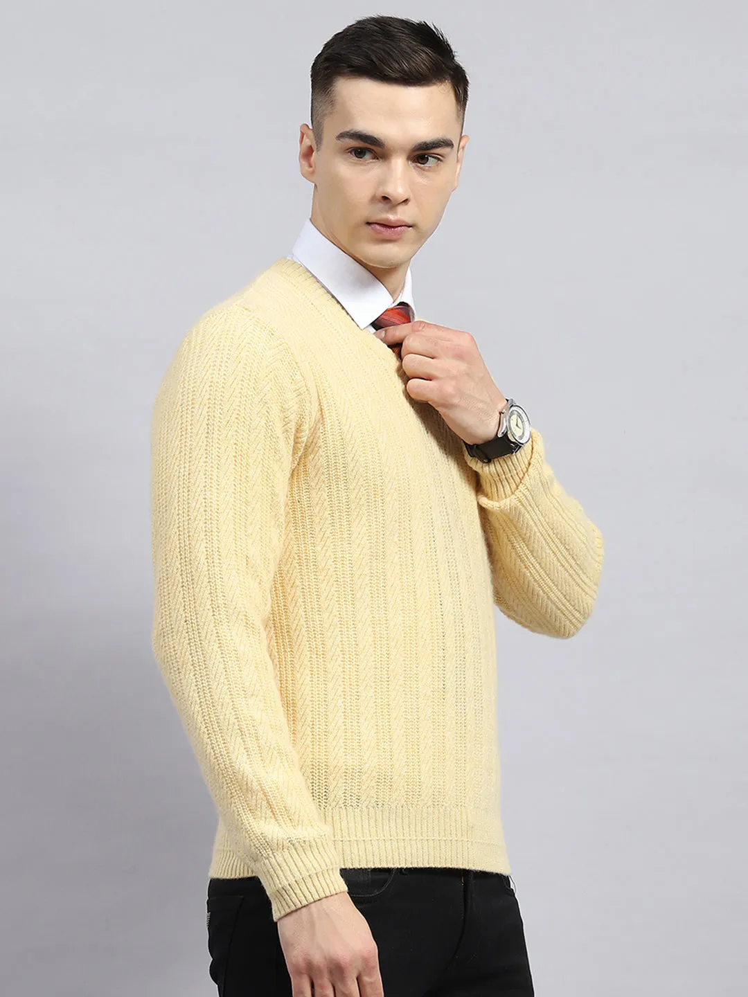 Men Beige Self Design V Neck Full Sleeve Pullover sold by Monte Carlo product image thumbnail 4