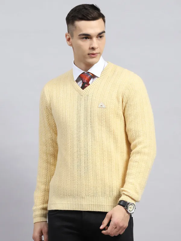 Men Beige Self Design V Neck Full Sleeve Pullover made by Monte Carlo