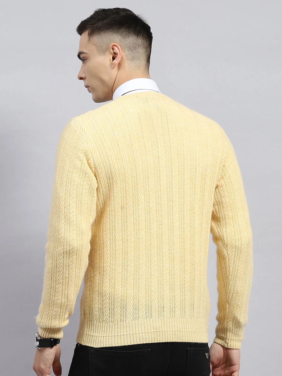 Men Beige Self Design V Neck Full Sleeve Pullover sold by Monte Carlo product image thumbnail 5