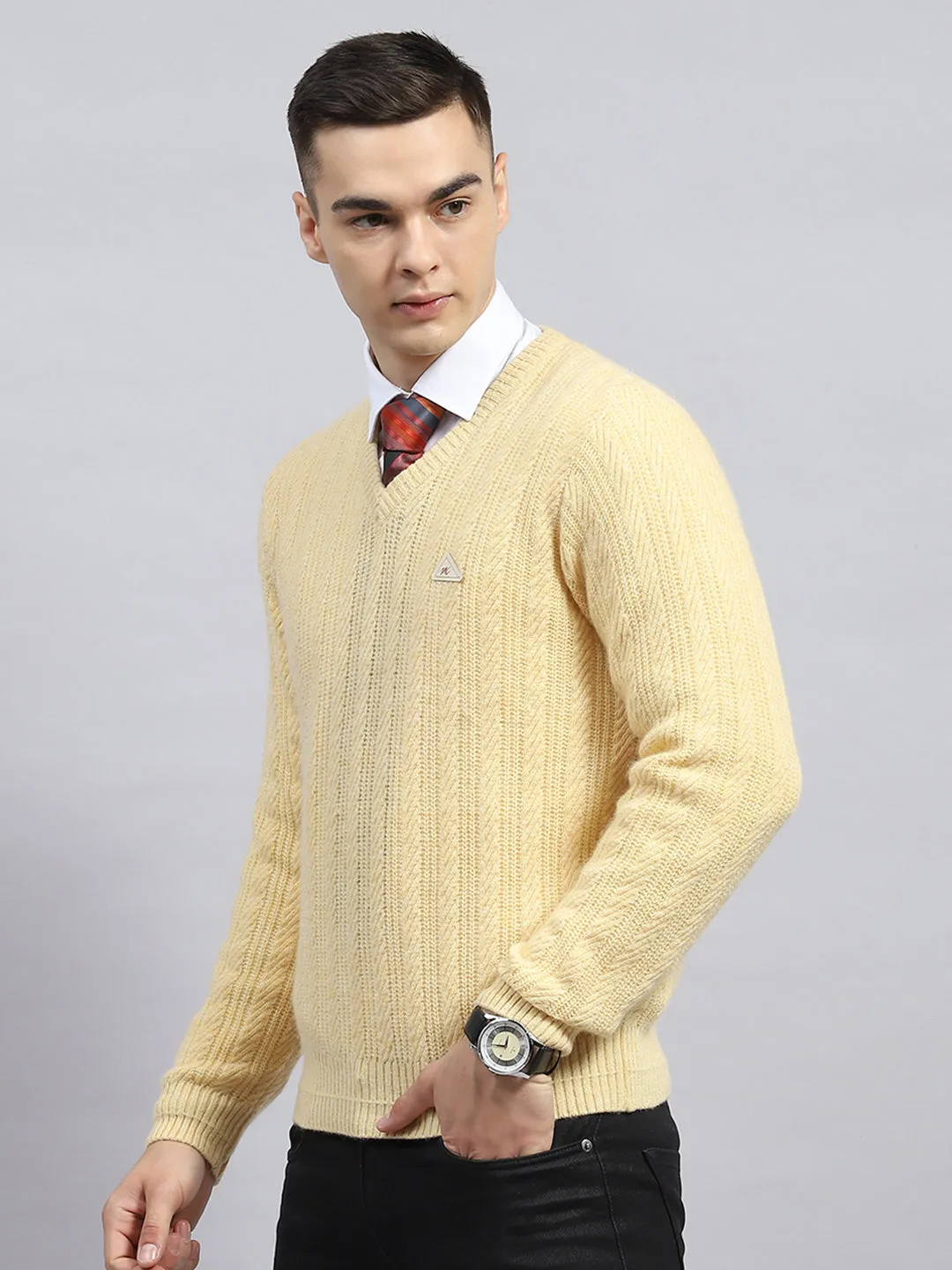 Men Beige Self Design V Neck Full Sleeve Pullover sold by Monte Carlo product image thumbnail 3