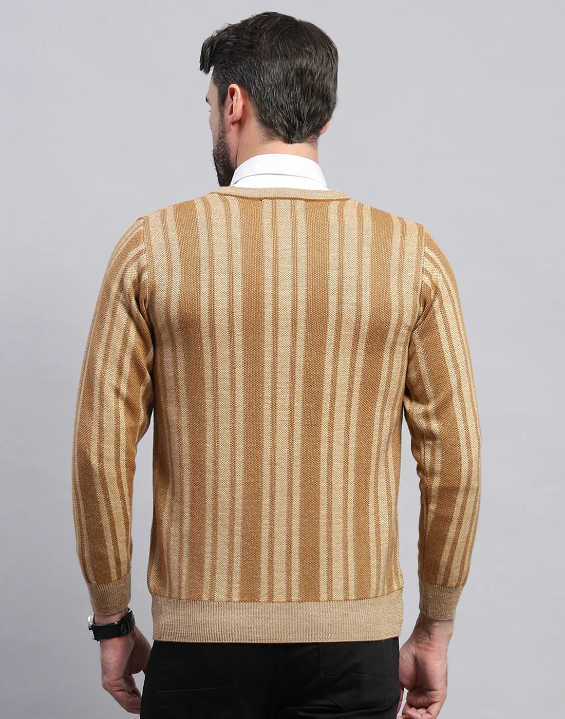 Men Beige Stripe V Neck Full Sleeve Pullover sold by Monte Carlo product image thumbnail 5