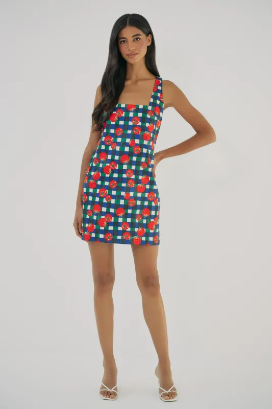 sara dress made by Hutch