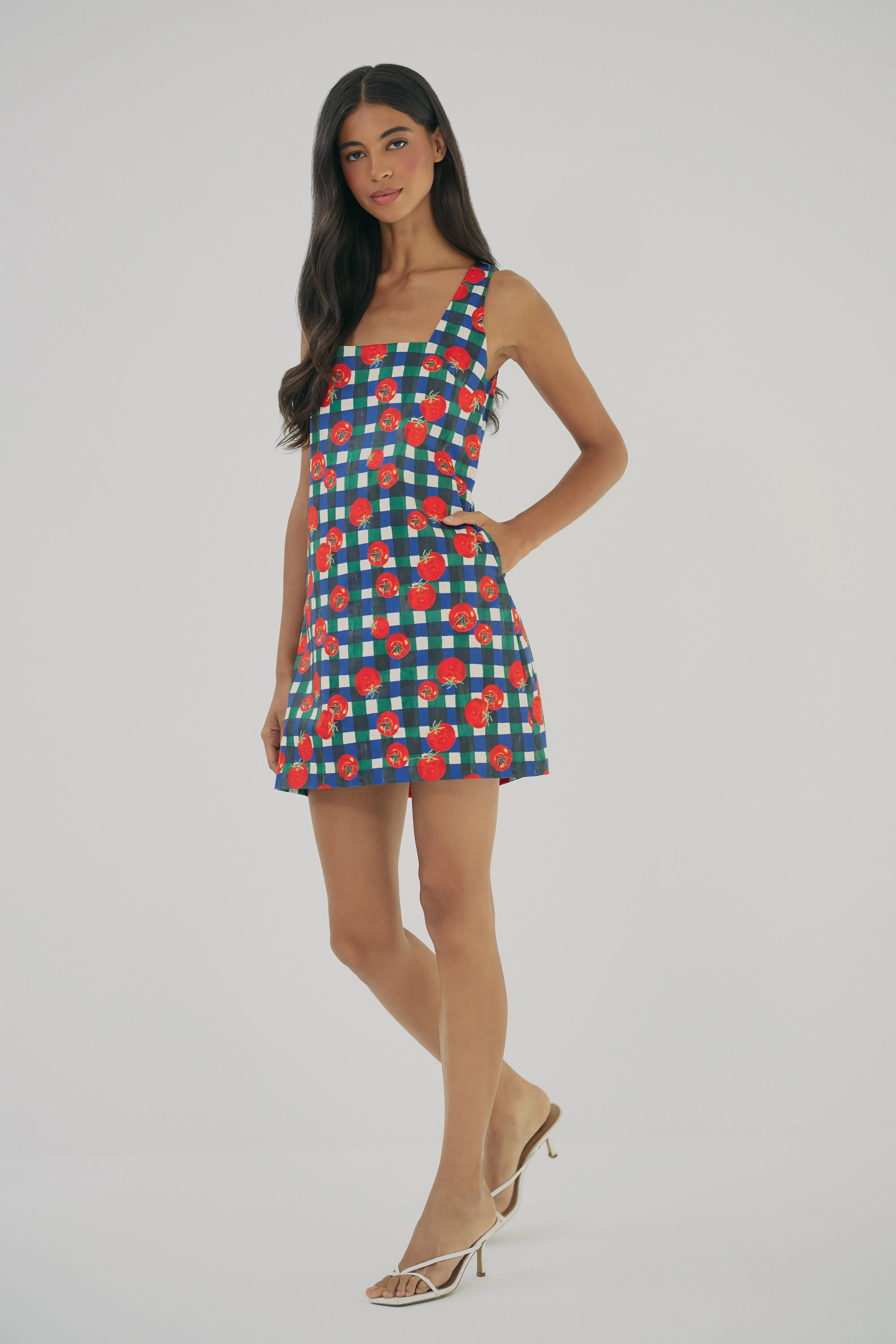 sara dress sold by Hutch product image thumbnail 4