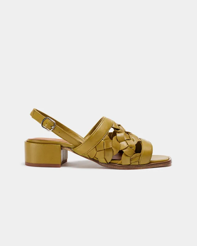 Muestra Anea Oliva sold by NAGUISA