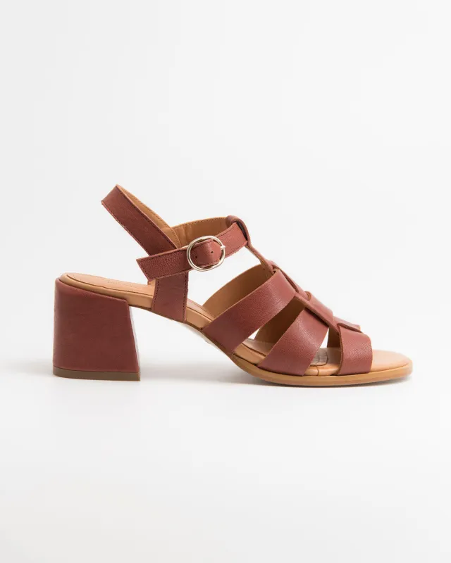 M. Alosa Brownie sold by NAGUISA