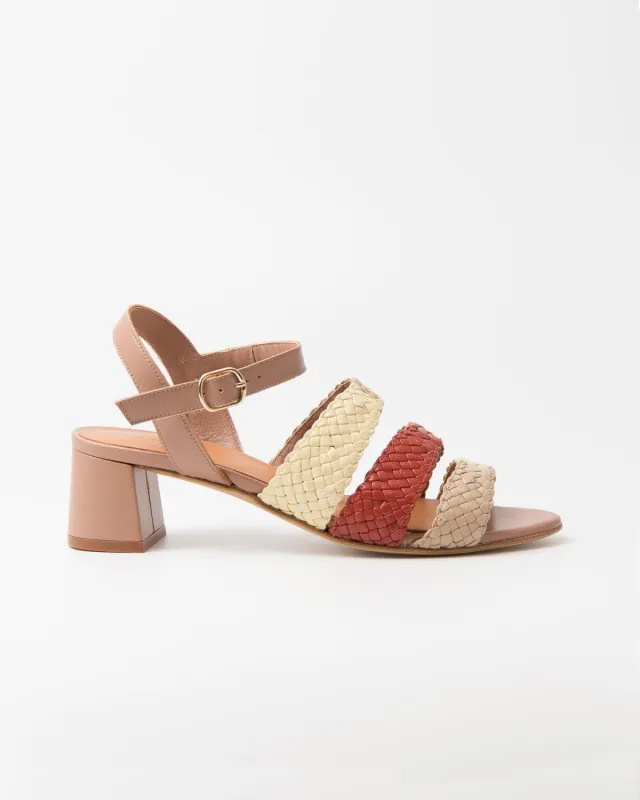 Archivo Murena Multi Malva sold by NAGUISA