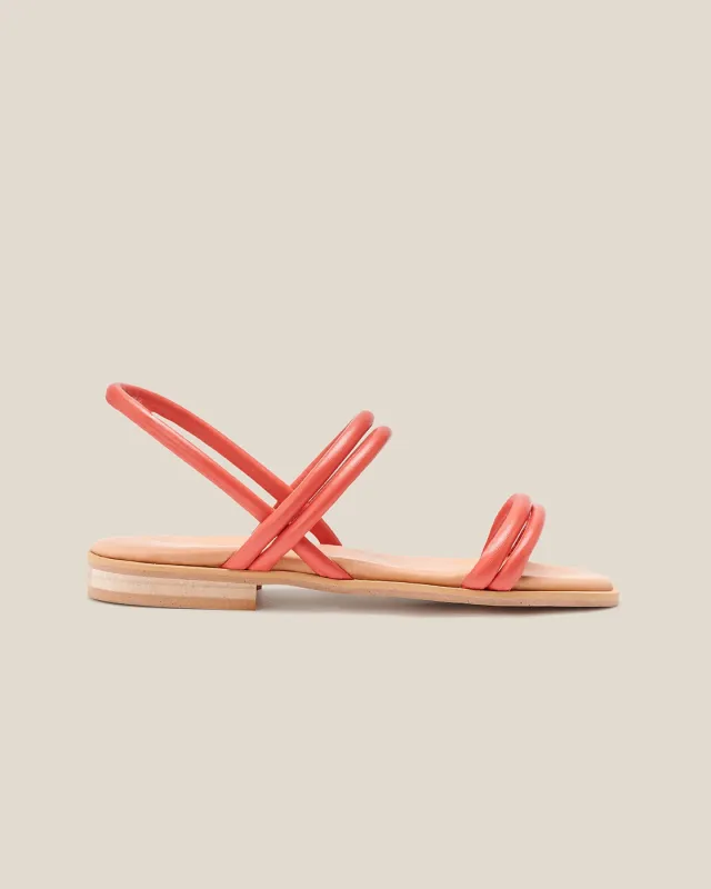 Archivo Ilse Rojo sold by NAGUISA